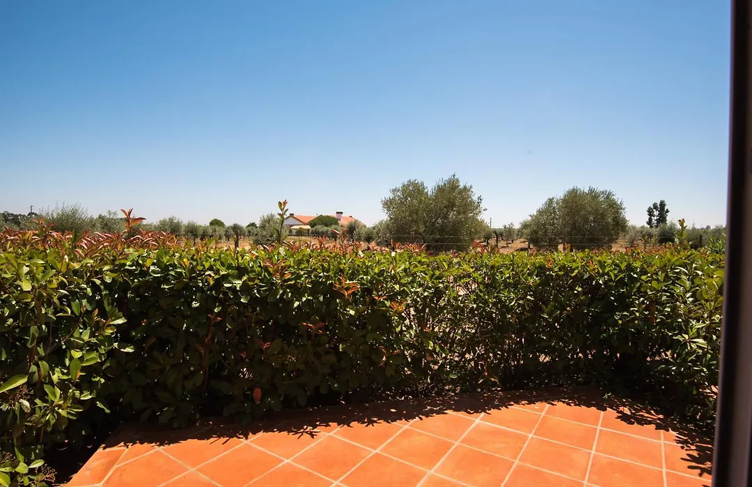 Vila Gale Alentejo Vineyard - Clube de Campo-1
